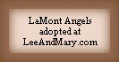 Thank you, Mary!