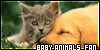 Baby Animals