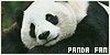 Giant Panda