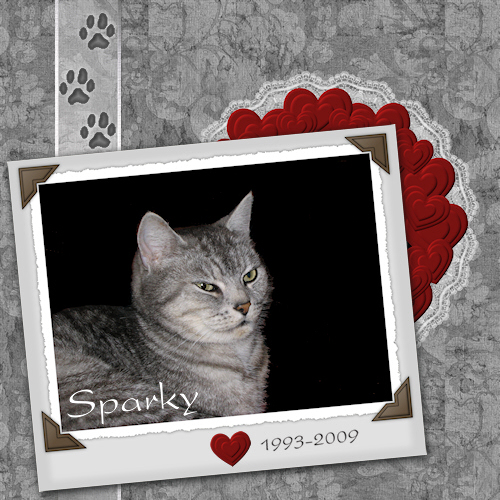 Sparky