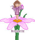Made by Angie